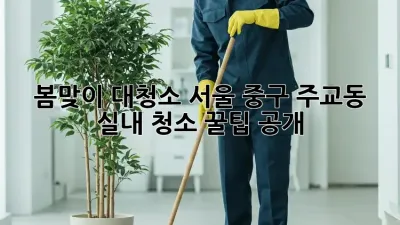 봄맞이 대청소🧹 서울 중구 주교동 실내 청소 꿀팁 공개! ✨