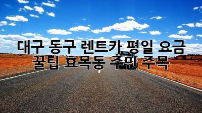 대구 동구 렌트카 평일 요금 꿀팁🍯 효목동 주민 주목!